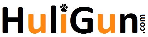 Huligun.com