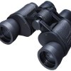 Generic 8x40 Binocular